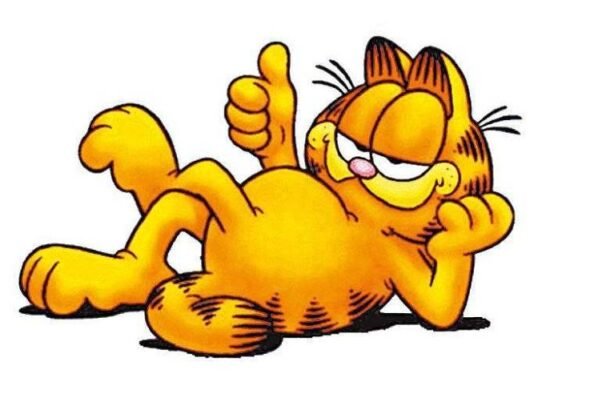 Tudo sobre o Garfield